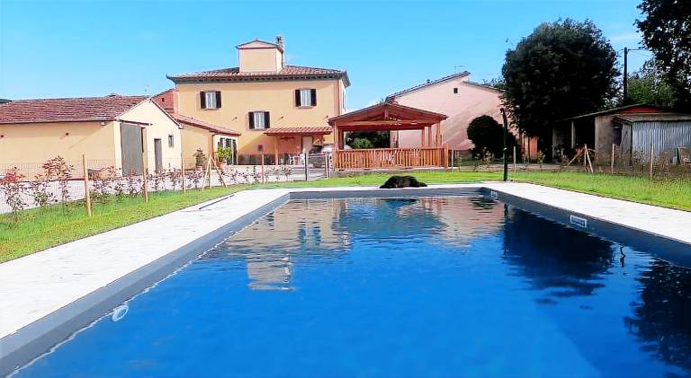 Vacation home with private pool, garden & barbecue in Cortona
