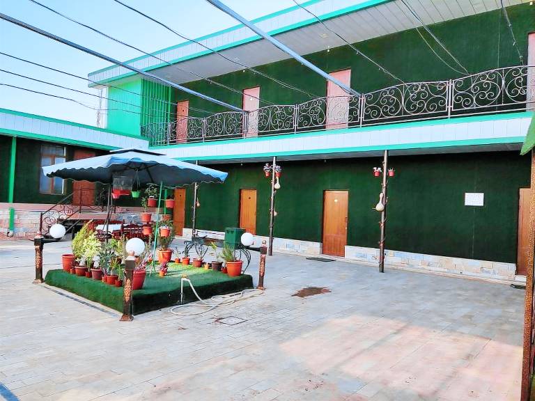 Green House G/H — photo 3