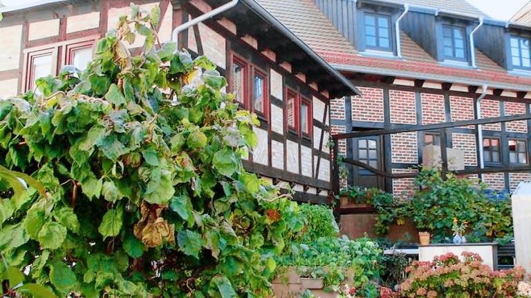 Ferienwohnung  Wolgast