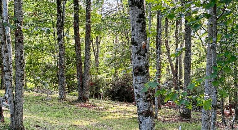 Vacation home with 2 rooms for 6 persons — photo 4