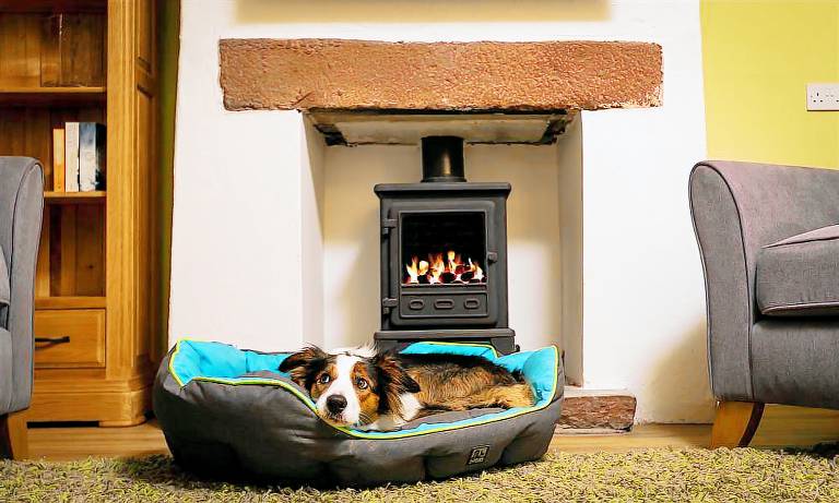 Children-friendly cottage | Pet-friendly — photo 3