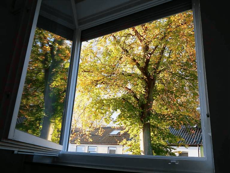 Ferienhaus Walldorf
