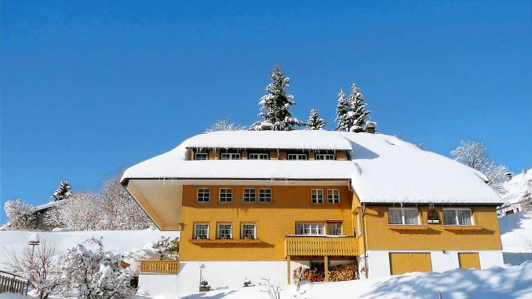 Ferienwohnung  Todtnauberg