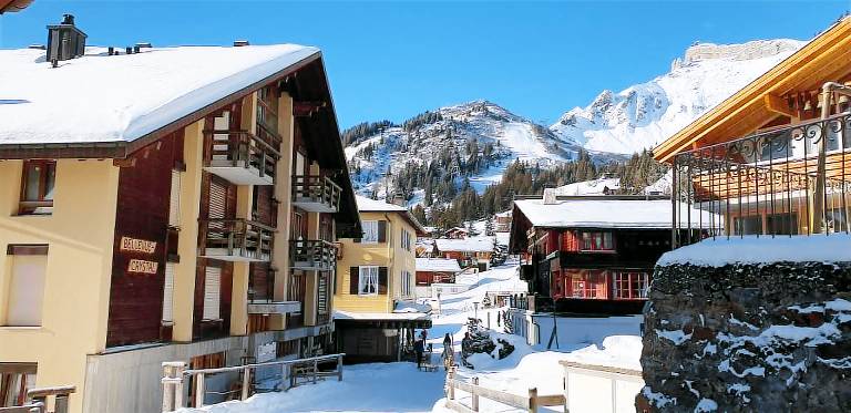 Apartment  Jungfrau