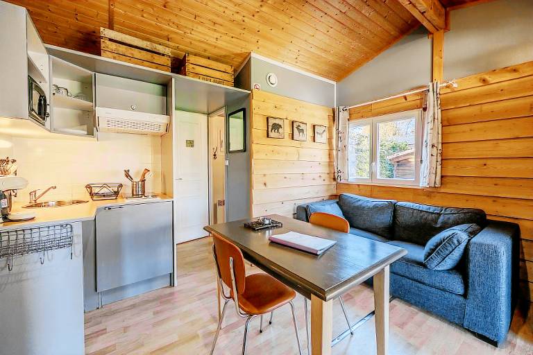 Chalet 'Montana 5_4 Pers' with Mountain View, Shared Pool and Wi-Fi — photo 3