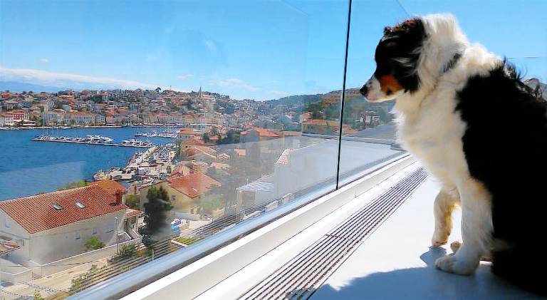 Rental apartment | Pets allowed in Mali Losinj
