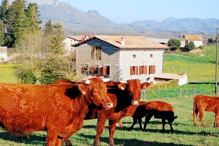 Agriturismo Rupit y Pruït