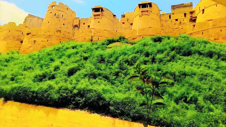 Jaisalmer Tofu safari — photo 4