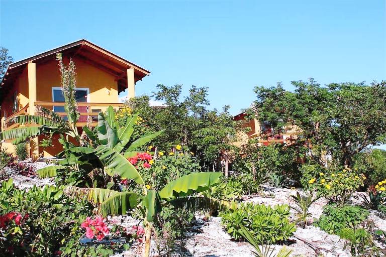 House  Cat Island