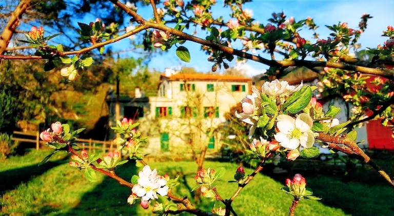 B&B Tre Ponti in Moneglia