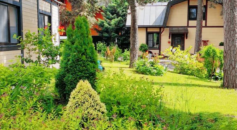 Sunnyhouse — photo 3