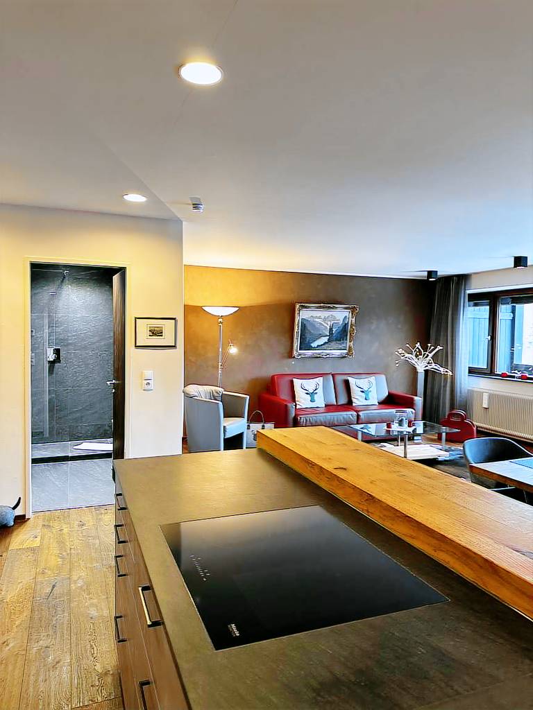 Rental apartment with sauna, yard & patio — photo 5