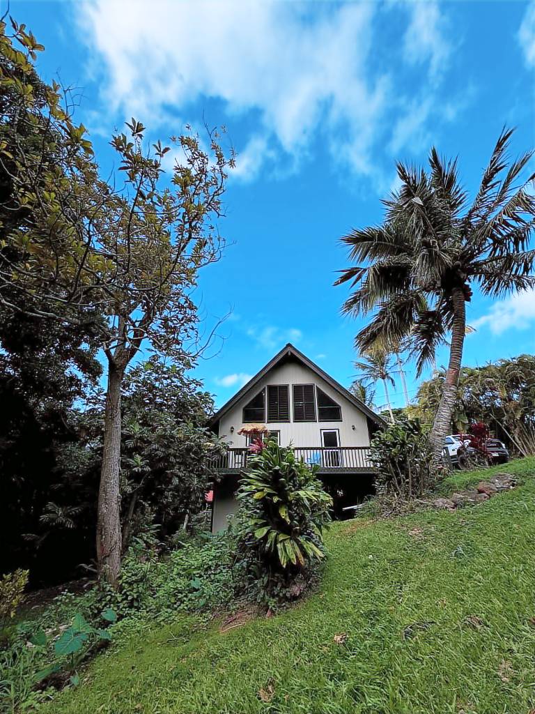 House Hawi