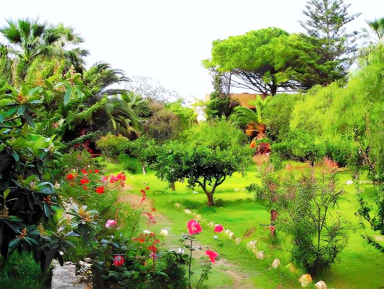 Farm with patio, yard & barbeque in Erice