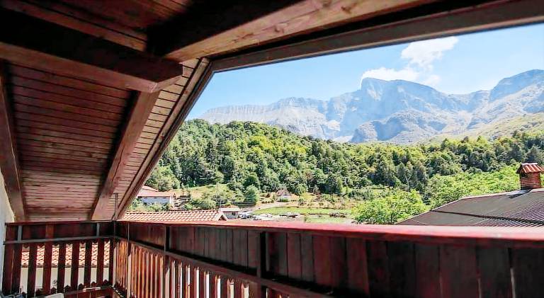 Apartma Luna with mountain view — photo 5