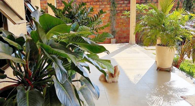 Vacation home | Pets are welcome — photo 3