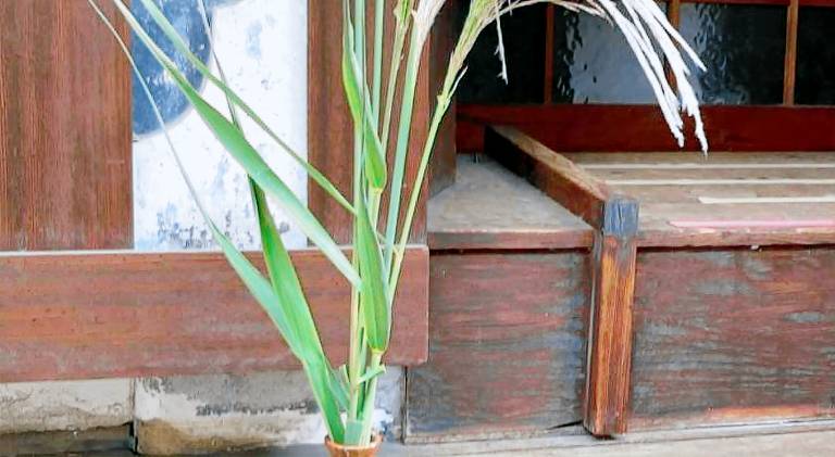 70 m&sup2; Ferienhaus