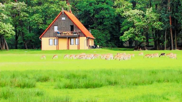 Ferienwohnung  Teupitz