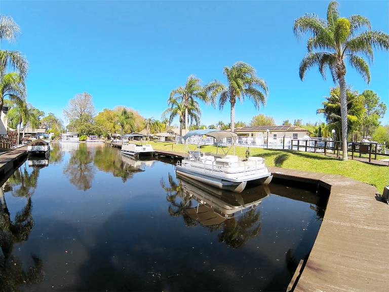 Condo Palm Harbor
