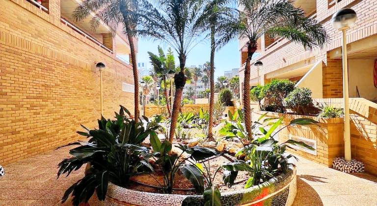 Rental apartment with pool | Beach nearby | Pets allowed — photo 5