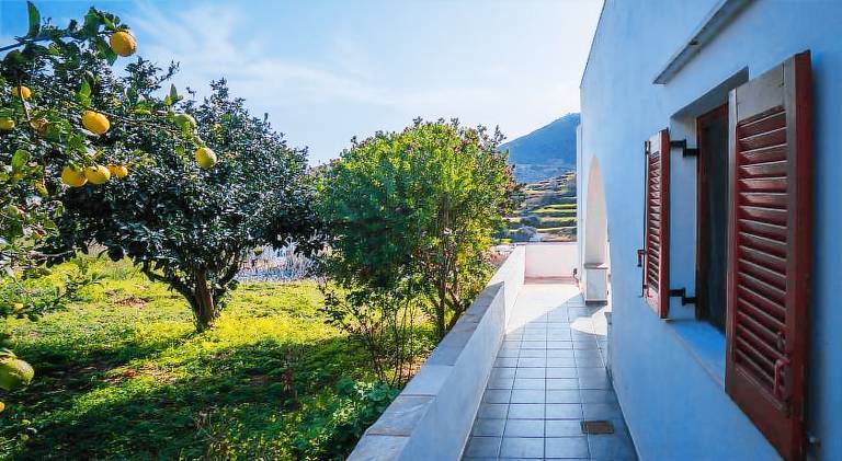 Apartment with terrace & garden — photo 5