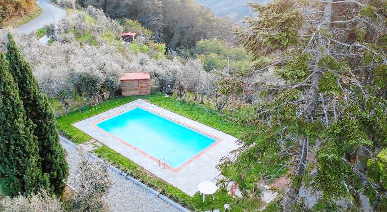 Villa with pool — photo 4