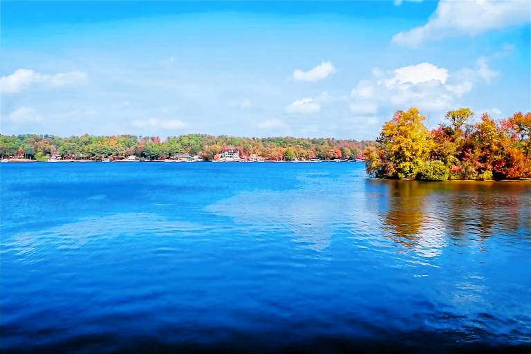 House Lake Hamilton