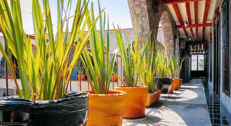 Hotel Vitorina Cholula — photo 4