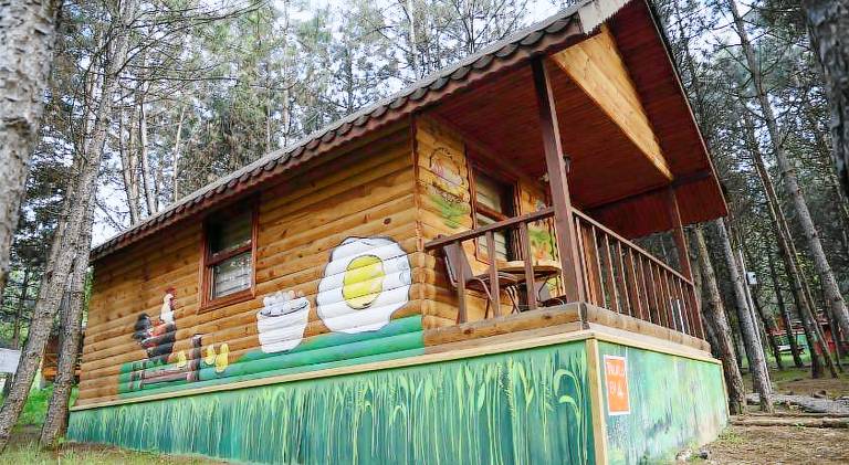 Wonderful lodge with patio & yard | Pets allowed — photo 5
