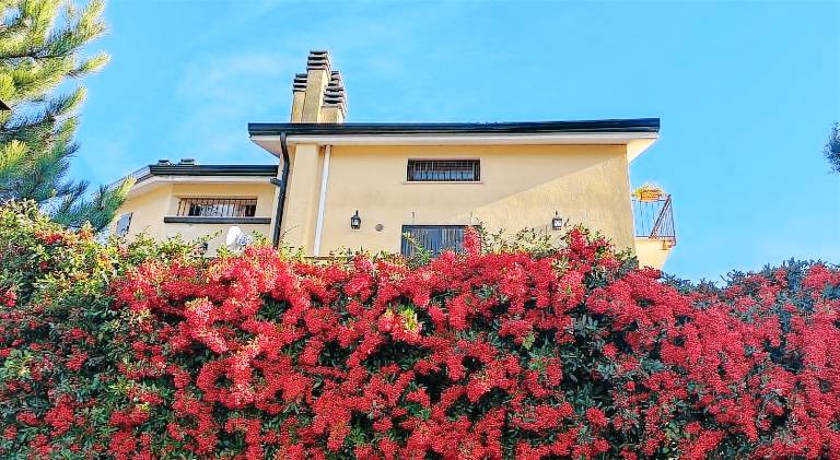 Holiday apartment | Pets allowed in L'Aquila