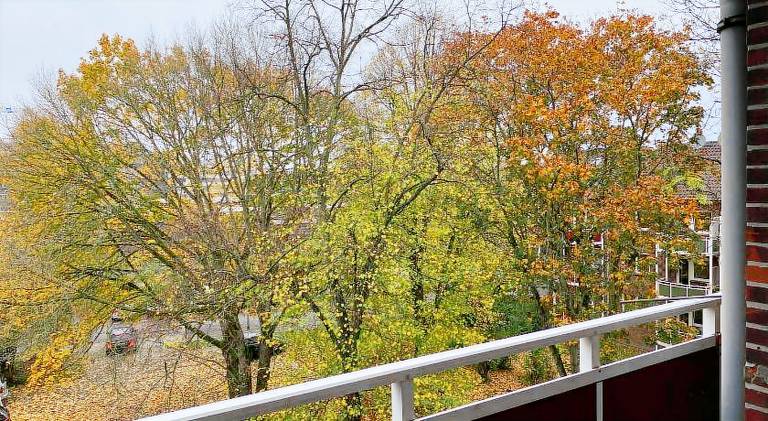 Beautiful apartment | Pets allowed — photo 2
