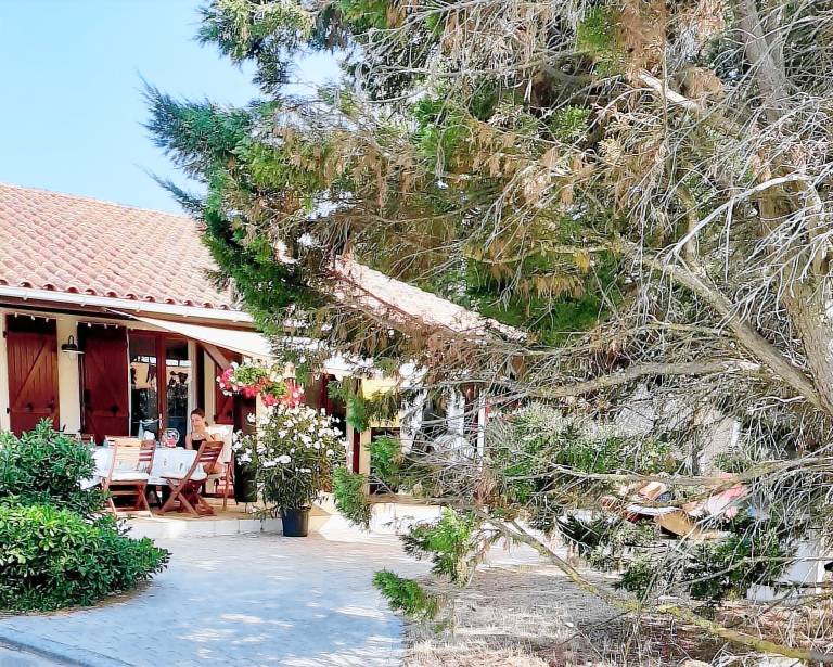 Maison de vacances Hourtin