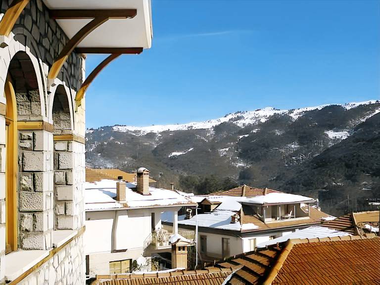 Asteri Metsovou — photo 5