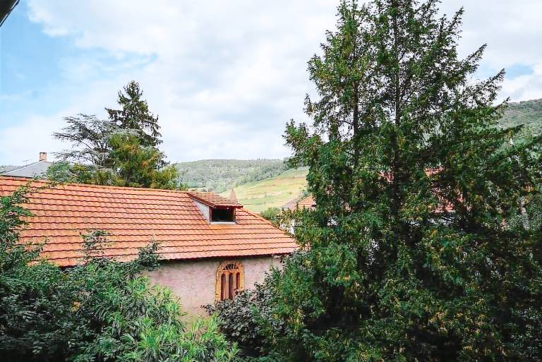 Appartement  Guebwiller