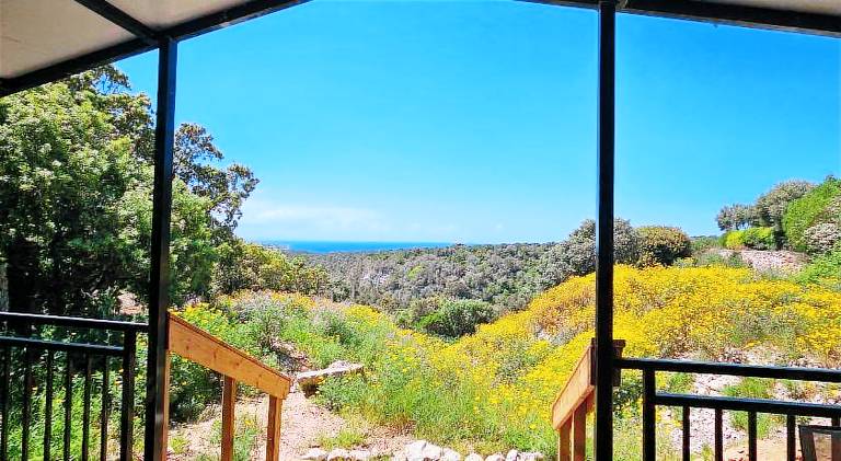 Lovely house | Pet-friendly — photo 5