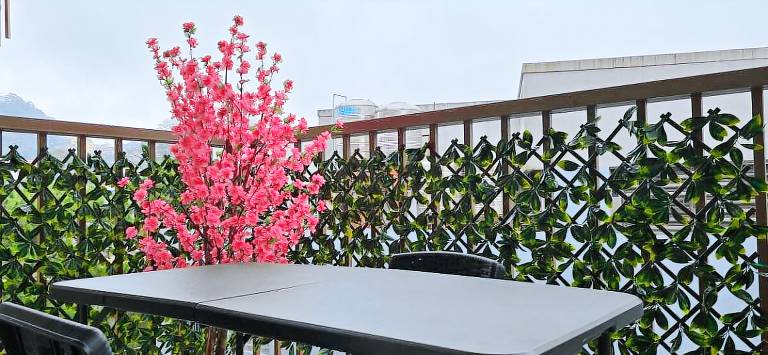 House with terrace — photo 5