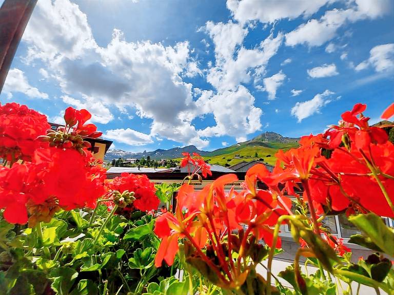 Appartement Arosa