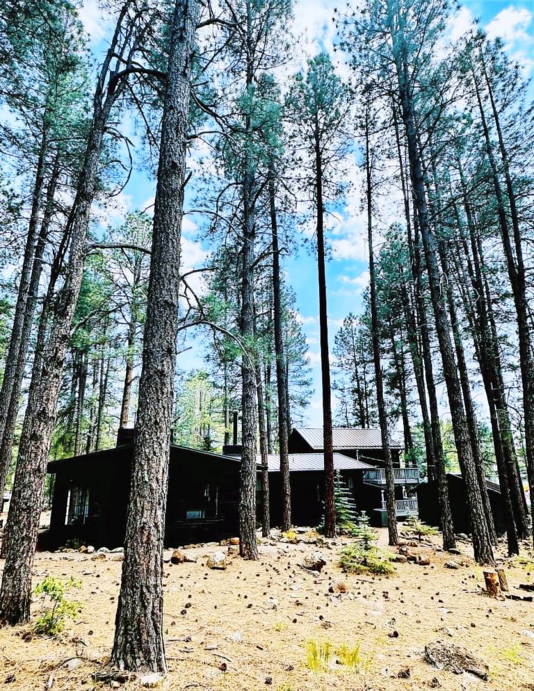 Cabin Munds Park