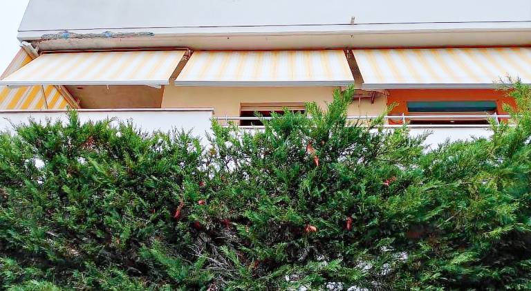 Pleasant apartment | Next to the beach | Pet-friendly — photo 5