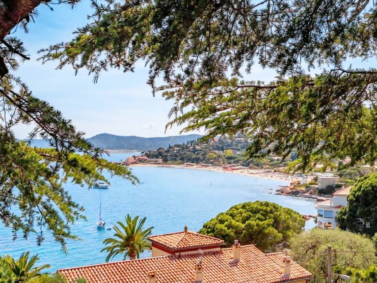 Apartment  Le Lavandou