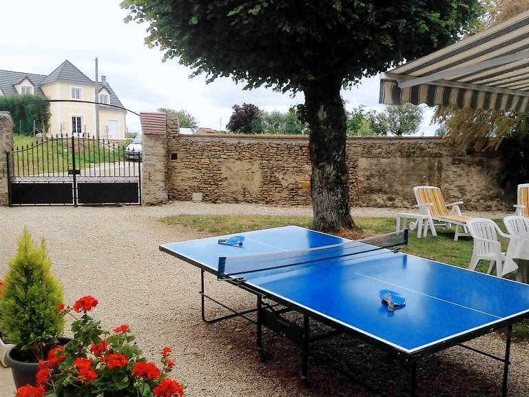 Spacious house with spa, billiards, and large garden near Chablis — photo 3