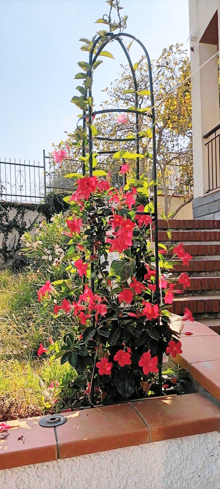 foto2
