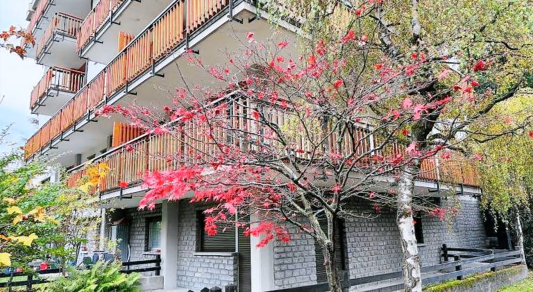 Holiday apartment with 1 room for 7 persons — photo 3