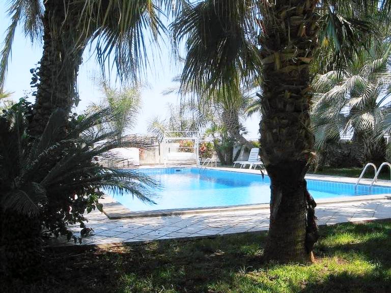 Agriturismo Cuore di palme: Appartamento completo di cucina Monolocale in agriturismo con piscina — photo 5