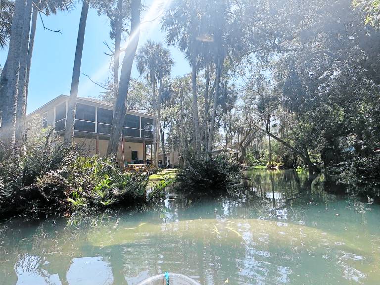 House Pine Island