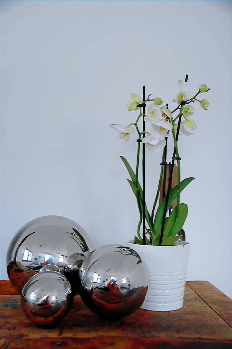 foto3