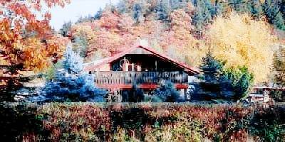 foto1