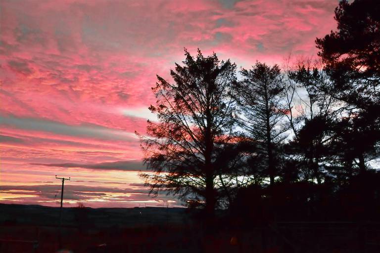 Bed & Breakfast Moray
