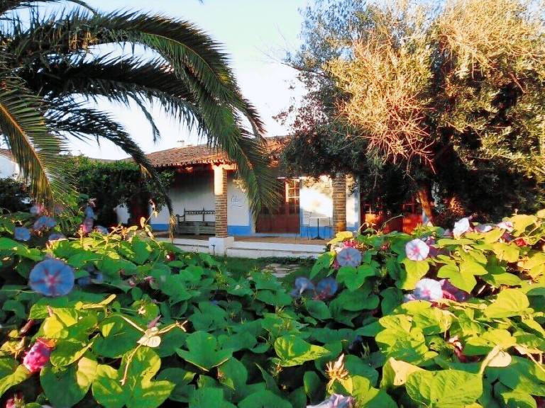 Quinta Motrinos