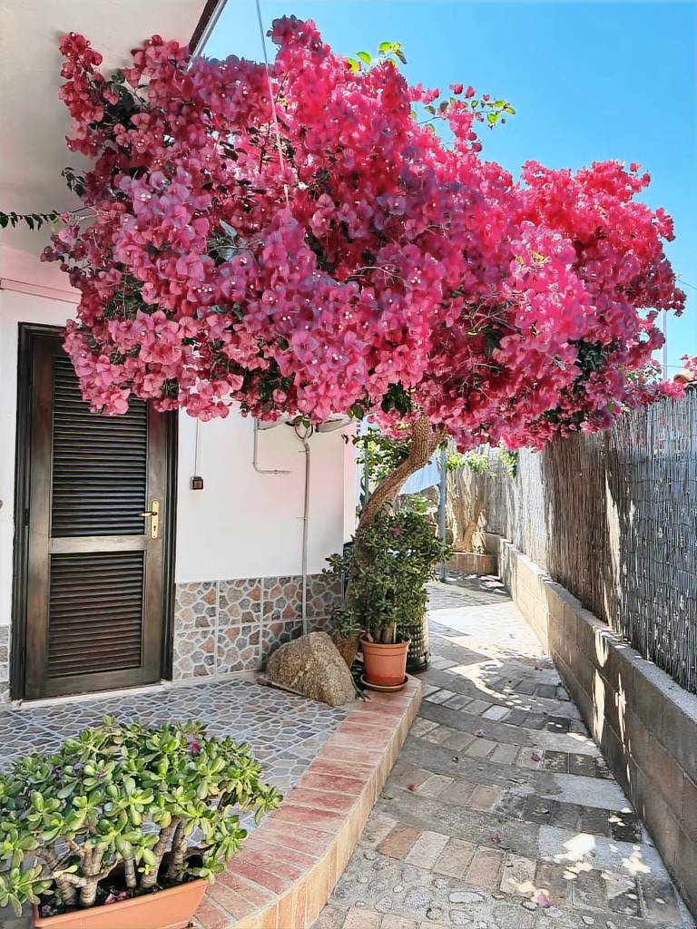 Bed & Breakfast Riaci